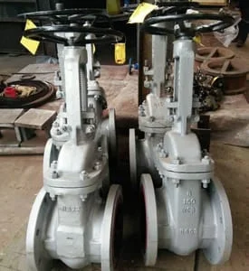 Gallery Image 11